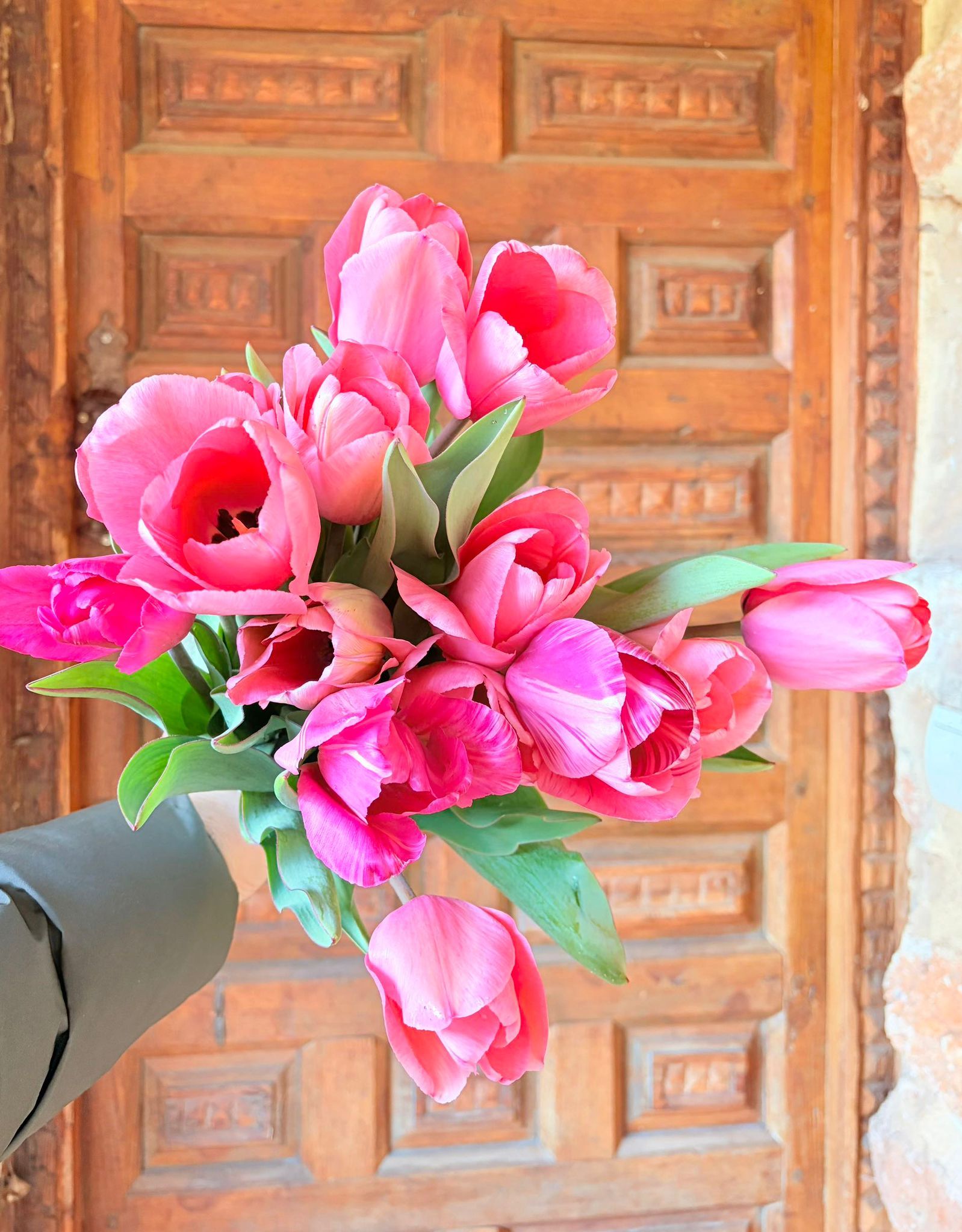 tulipanes granja de flores