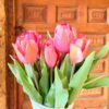 tulipanes recien cortados