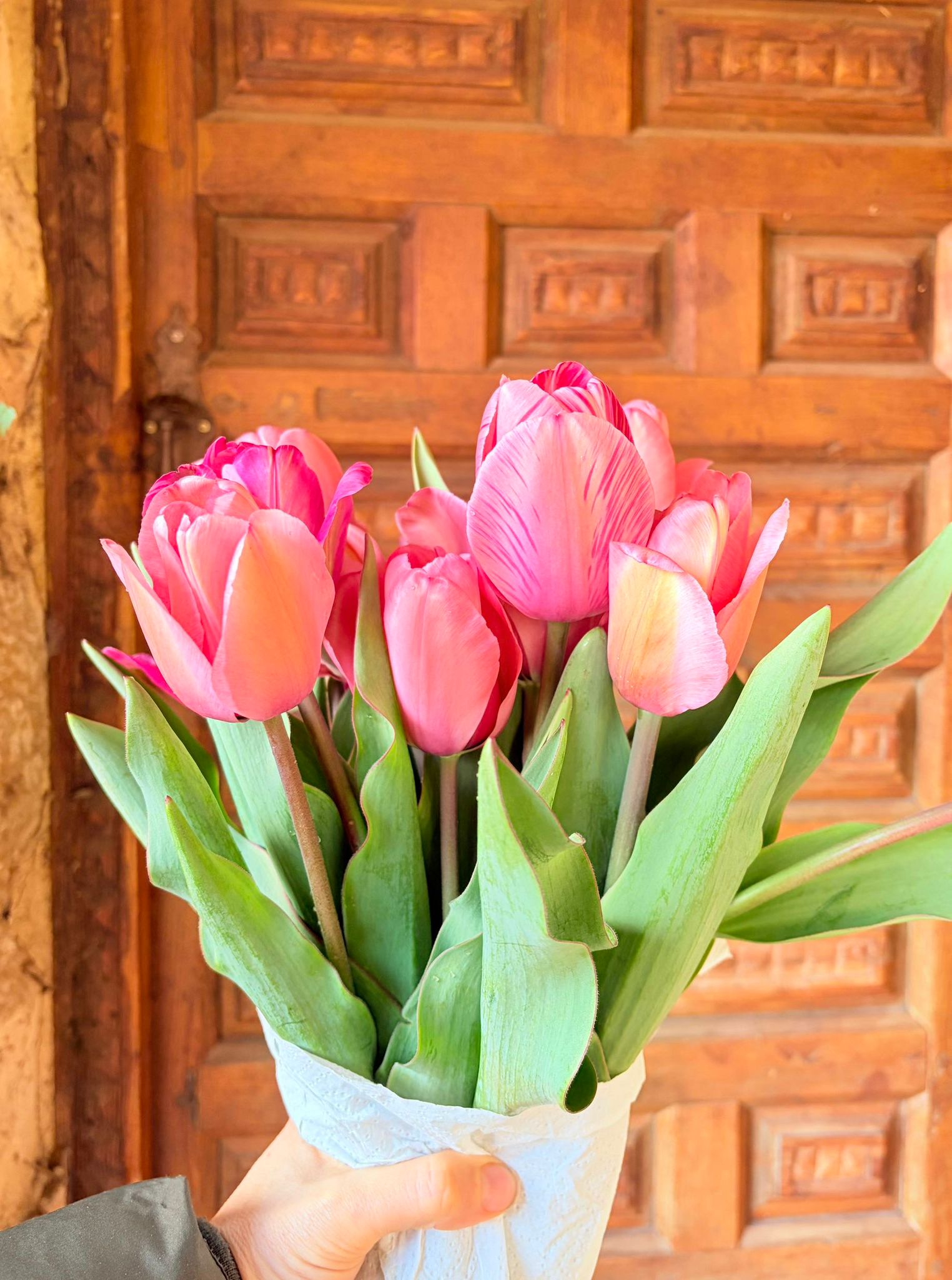 tulipanes recien cortados