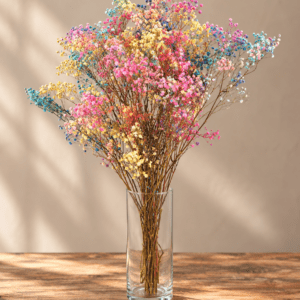Paniculata Preservada arcoiris