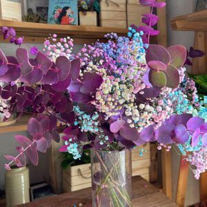 Ramo Arcoiris y Morado