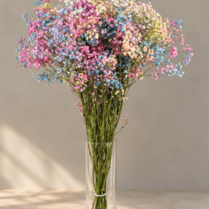 PANICULATA NATURAL ARCOIRIS