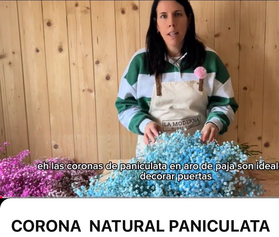 corona de paniculata natural