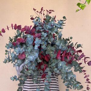 DECORA CON EUCALIPTO (Natural y rojo otoñal)