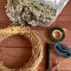 pack crear corona paniculata