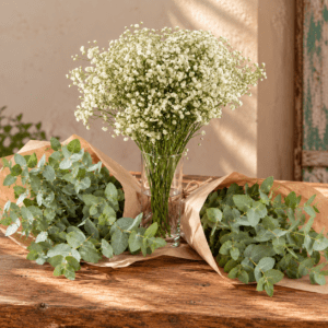 PACK PANICULATA Y EUCALIPTO