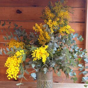 Ramo de Mimosa