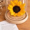 girasol en cupula