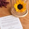 girasol preservado