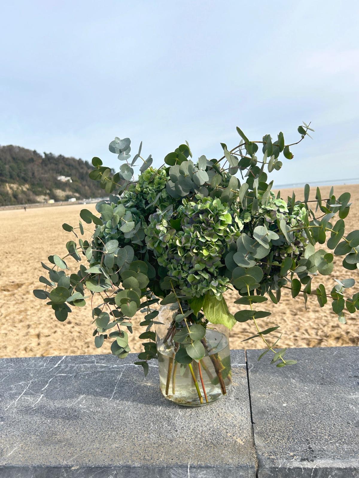 Hortensias_que_secan_solas