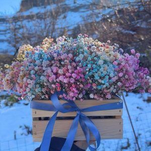Caja de paniculata de colores