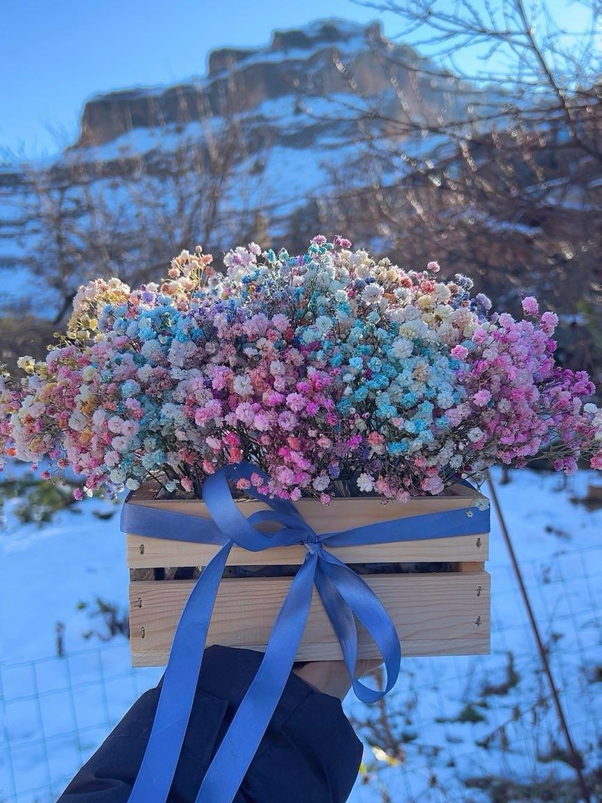 Caja de paniculata de colores
