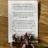 Capazo de flores silvestres
