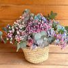 Capazo de paniculata de colores con eucalipto