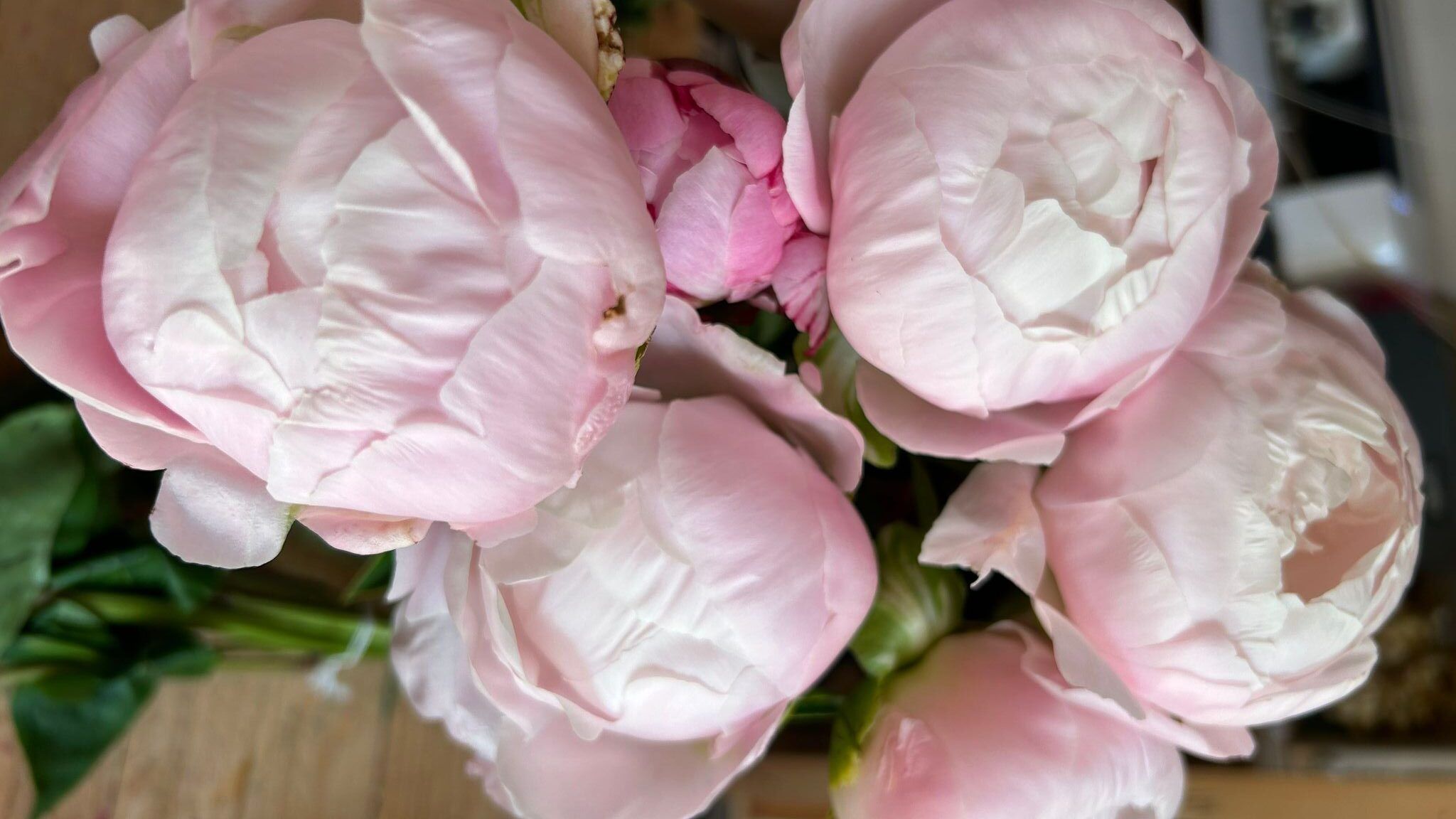 preservar flores con glicerina