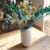 ramo achillea