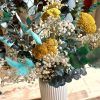 ramo achillea y paniculata